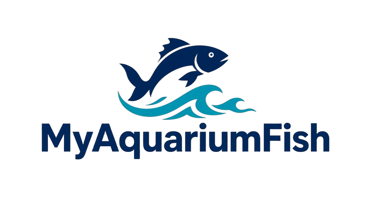 MyAquariumFish